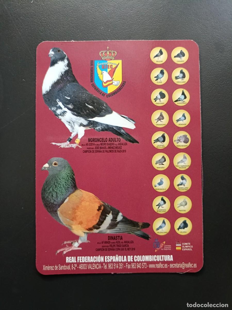 Collectionnisme Calendriers: Calendario bolsillo - A&Ntilde;O 2011 - REAL FEDERACI&Oacute;N ESPA&Ntilde;OLA DE COLOMBICULTURA - PALOMA