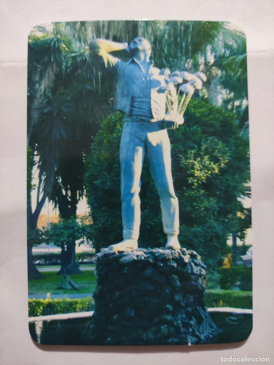 Sammeln von Kalendern: CALENDARIO 2009 - REF. 01 - estatua m&aacute;laga el bizanaguero