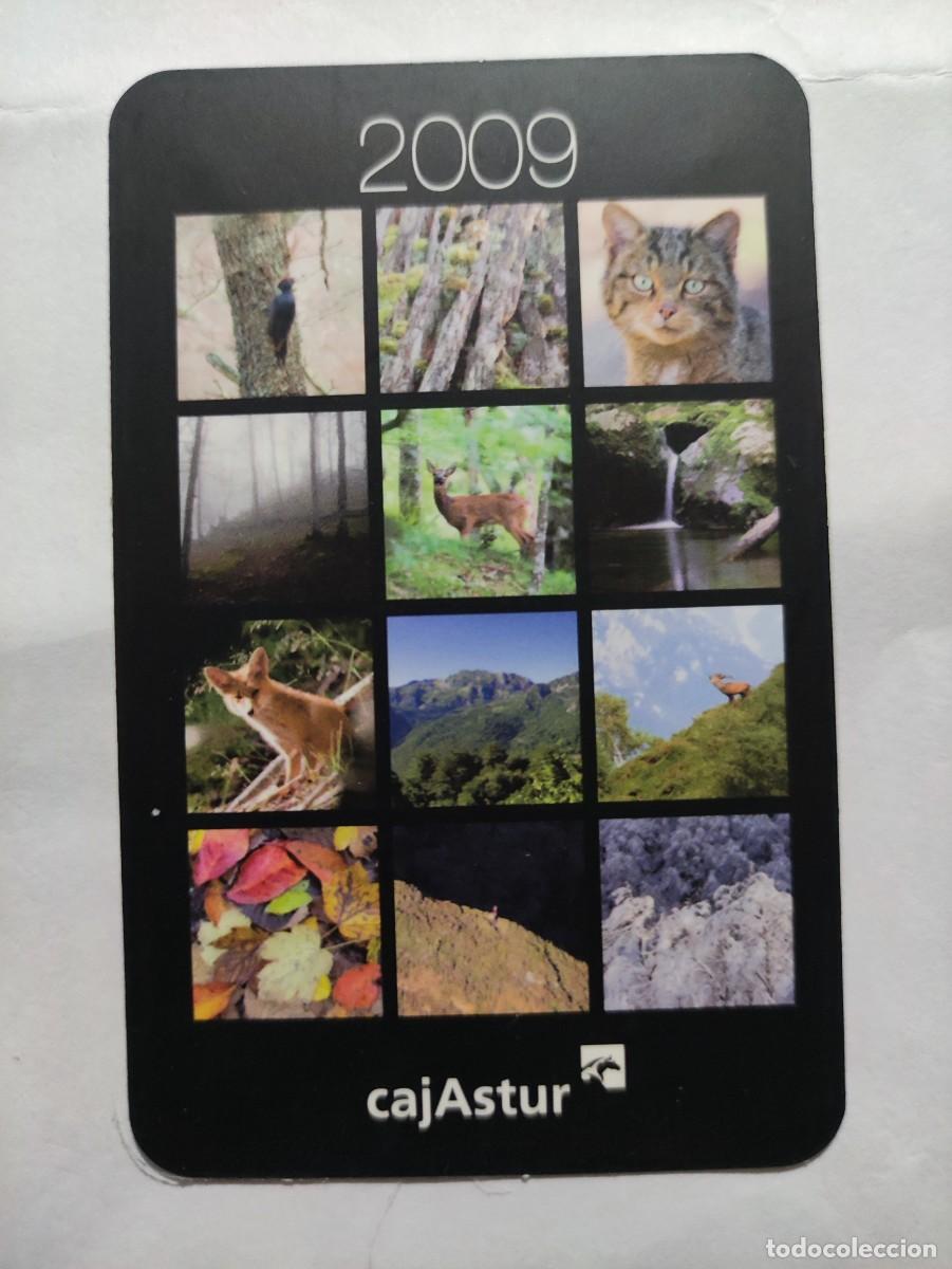 Collectionnisme Calendriers: CALENDARIO 2009 - CAJASTUR CAJA DE ASTURIAS - BANCO