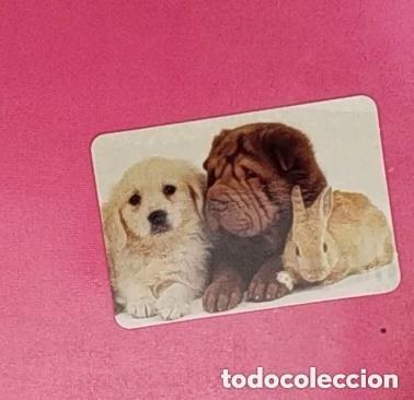 Coleccionismo calendarios: CALENDARIO 2008 - PERRITOS - Foto 1
