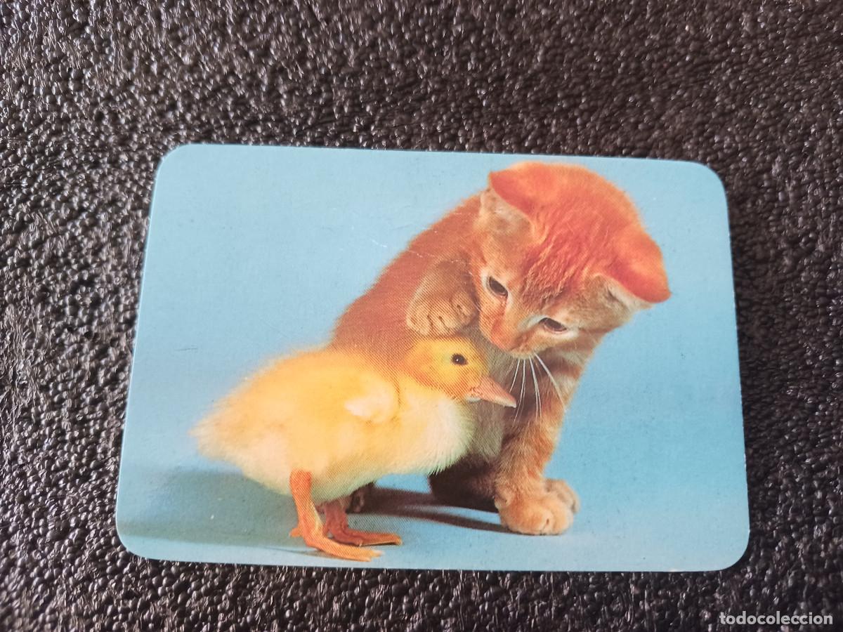 Coleccionismo calendarios: calendario 1993, animales, publicidad de j. vall, accessoris
