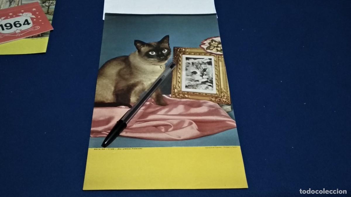 Collectables Calendars: CALENDARIO LAMINA - SU &Uacute;NICA PASI&Oacute;N - DE LOS A&Ntilde;OS 60 - VER FOTOS