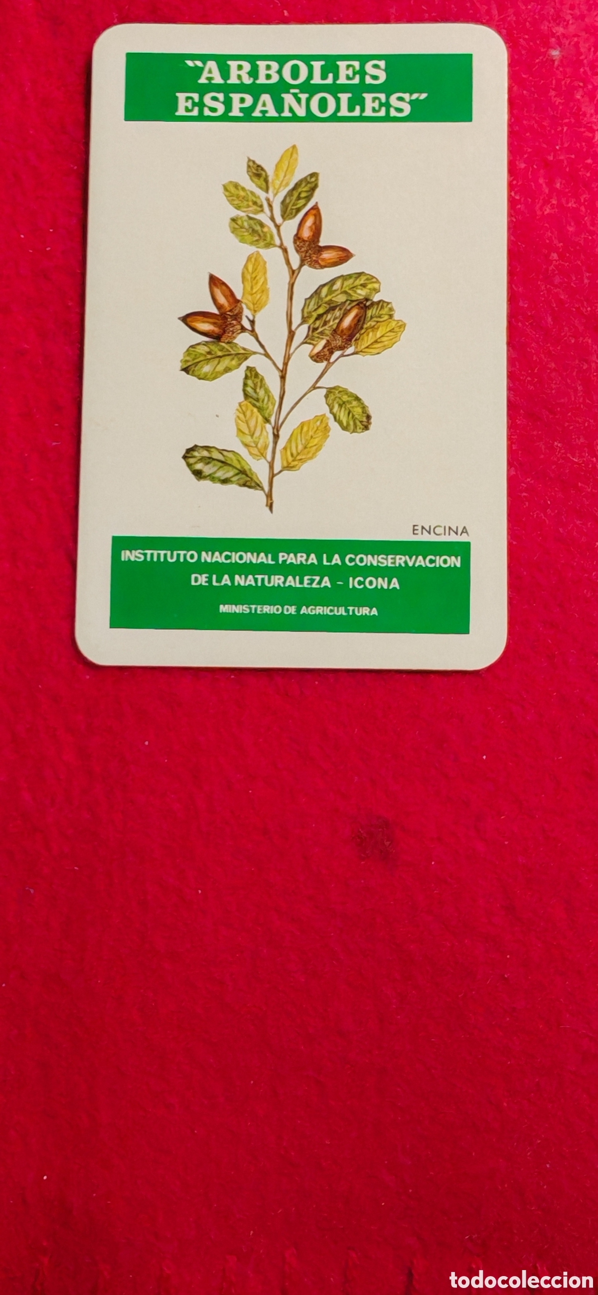 Colecionismo Calend&aacute;rios: CALENDARIO FOURNIER 1975 &Aacute;RBOLES ESPA&Ntilde;OLES ENCINA
