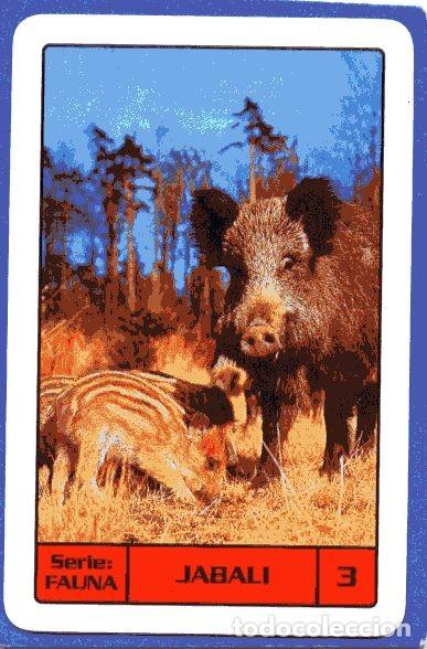 Colecionismo Calend&aacute;rios: CALENDARIO BOLSILLO - A&Ntilde;O 2007 - SERIE FAUNA N&ordm; 3 JABAL&Iacute; - FOURNIER