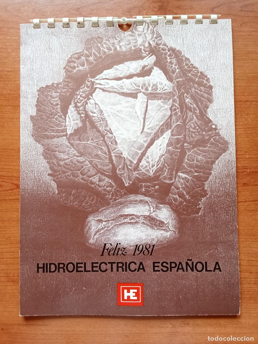 Coleccionismo calendarios: CALENDARIO 1981 PUBLICIDAD HIDROELECTRICA ESPA&Ntilde;OLA