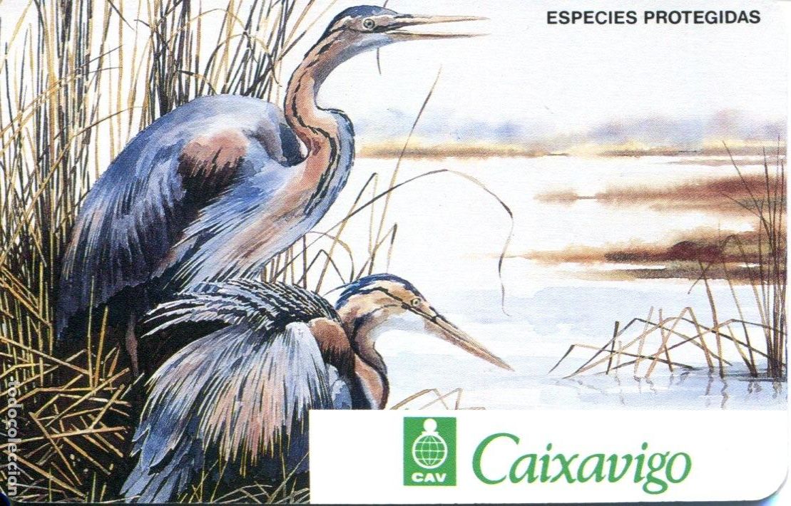 Coleccionismo calendarios: CALENDARIO FOURNIER. A&Ntilde;O 1993. CAIXAVIGO CAV VIGO, ESPECIES PROTEGIDAS. BANCOS