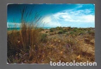 Coleccionismo Calendarios: CALENDARIO DE BOLSILLO. DE TURISMO COMUNIDAD DE VALENCIA DEL A&Ntilde;O 2011