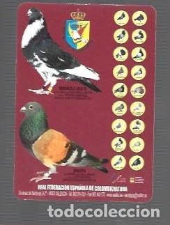 Coleccionismo Calendarios: CALENDARIO DE REAL FEDERACI&Oacute;N ESPA&Ntilde;OLA DE COLOMBICULTURA DEL A&Ntilde;O 2011