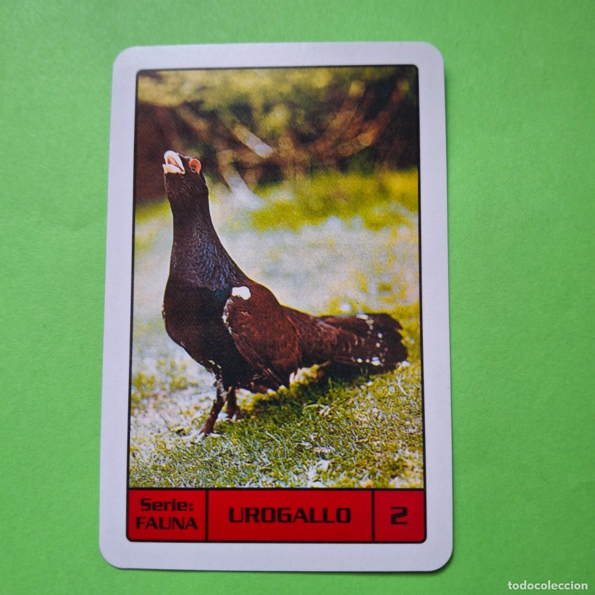 Collectables Calendars: 2006 - CALENDARIO H. FOURNIER - SERIE FAUNA N&ordm; 2 UROGALLO