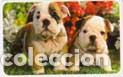 Colecionismo Calend&aacute;rios: Calendario de bolsillo 2014 CB Tarjetas Credito 4