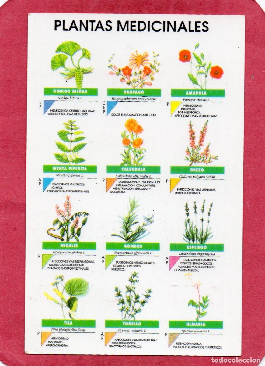 Collezionismo Calendari: Calendario de Publicidad 1994 - HERBOLARIO EL RECO
