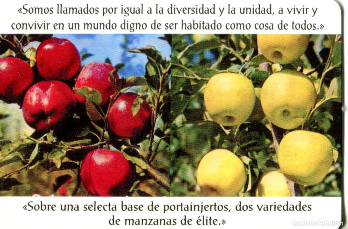 Coleccionismo calendarios: Calendario RELIGIOSO, Hermanos de San Juan de Dios a&ntilde;o 2009