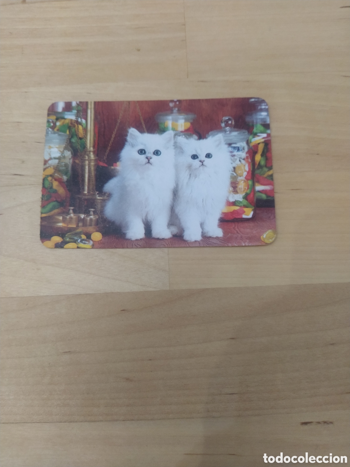 Coleccionismo calendarios: CALENDARIO DE BOLSILLO DE GATITOS 1983 - Foto 1