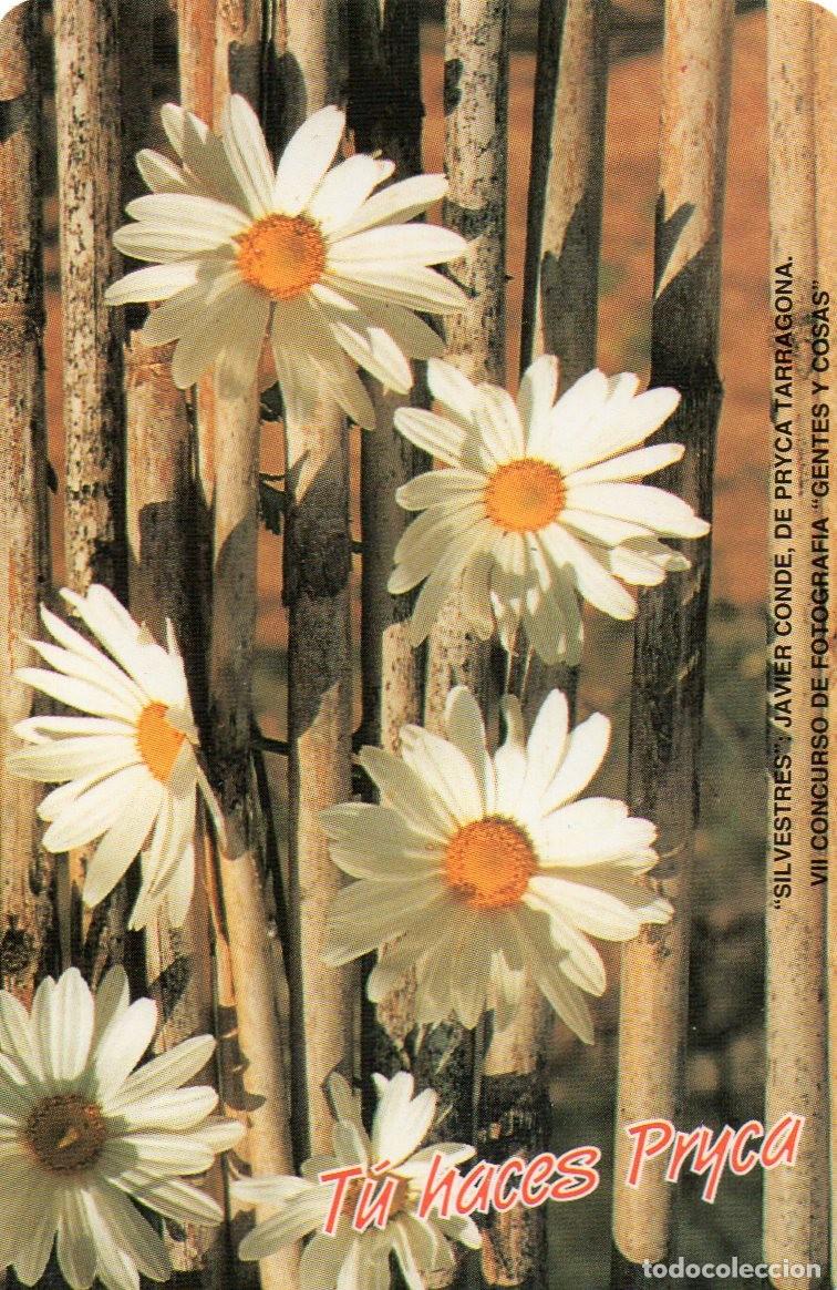 Sammeln von Kalendern: Calendario de Publicidad 1996 - PRYCA