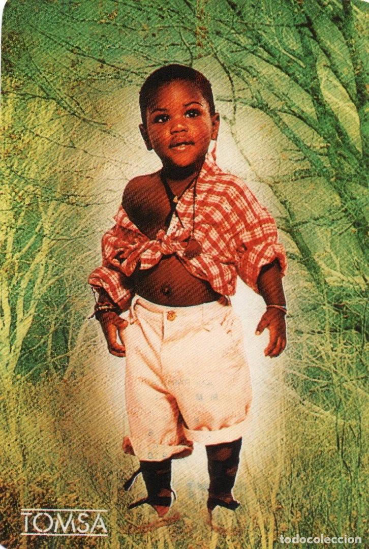 Collezionismo Calendari: Calendario de Publicidad 1996 - TOMSA - ANDECONSA