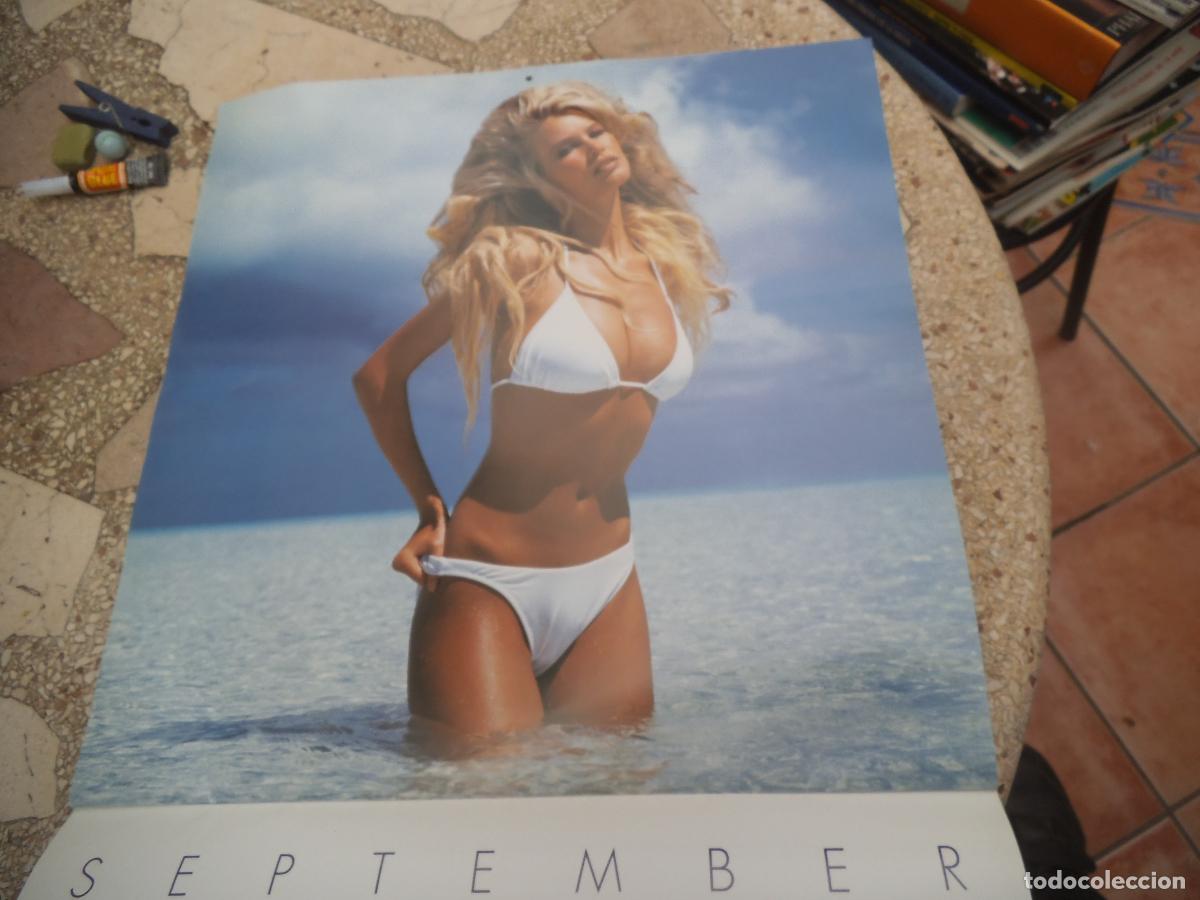 calendario 1996 claudia schiffer, 12 fotos 38x3 - Buy Antique and 