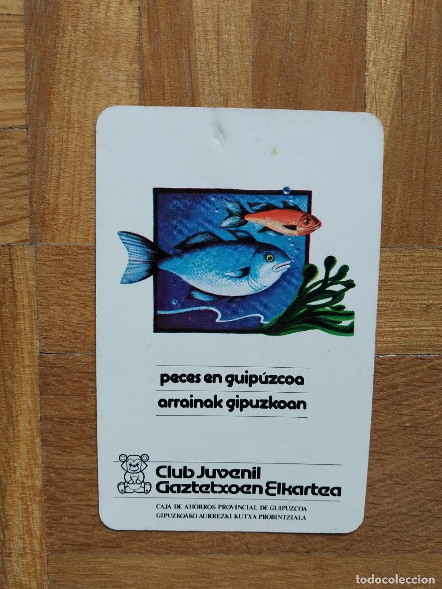 Collectables Calendars: CALENDARIO FOURNIER CAJA DE AHORROS PROVINCIAL DE GUIPUZCOA A&Ntilde;O 1983 MESES EUSKERA VER FOTOS