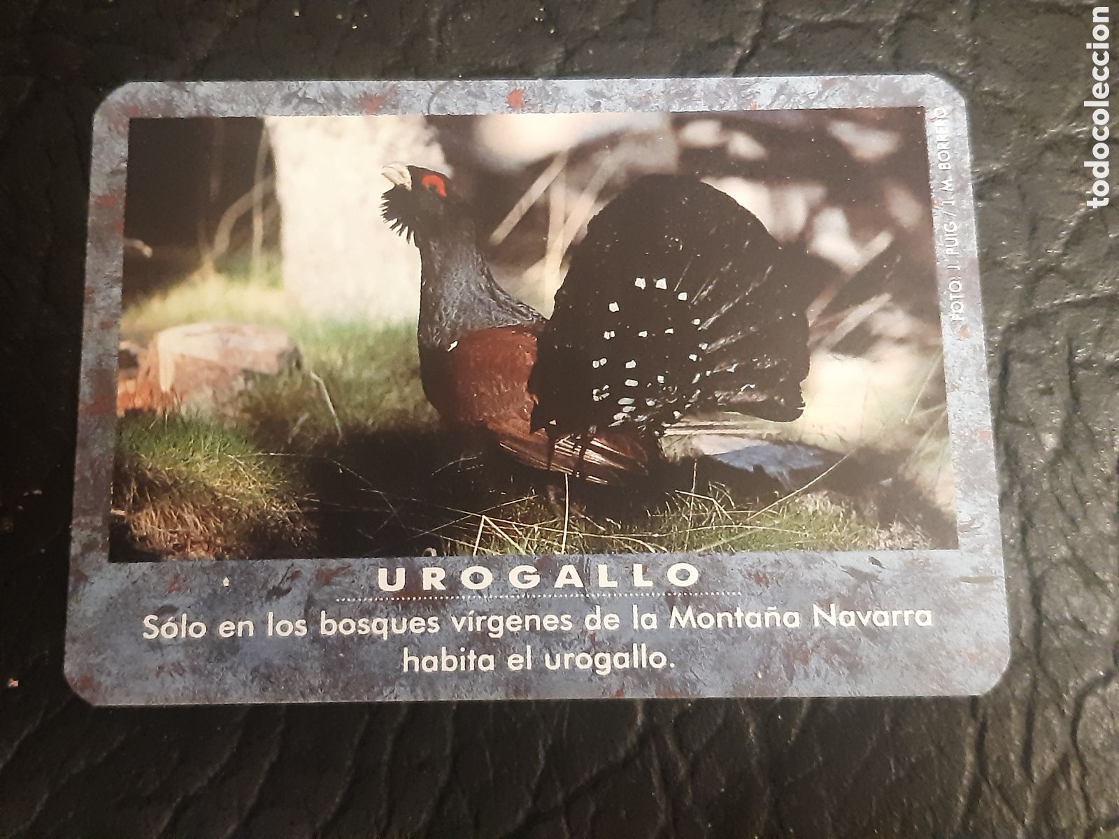 Coleccionismo Calendarios: Calendario Gobierno de Navarra Aviaco 1991