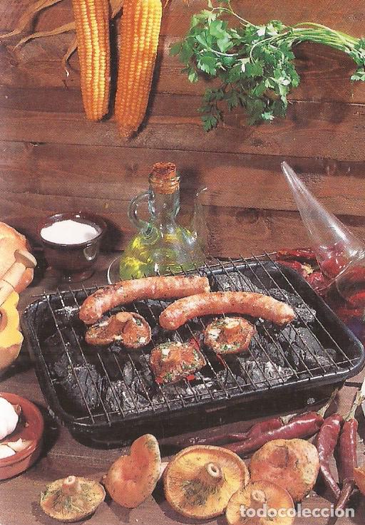 Coleccionismo Calendarios: CALENDARIO SERIE A&Ntilde;O 1999 SERIE W.C.B. N&ordm; 198