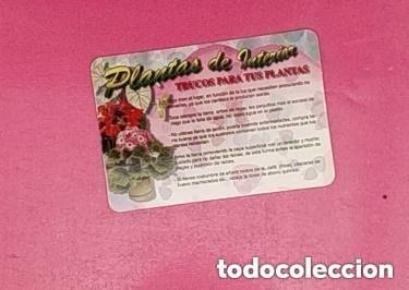 Sammeln von Kalendern: CALENDARIO 2008 - PLANTAS DE INTERIOR