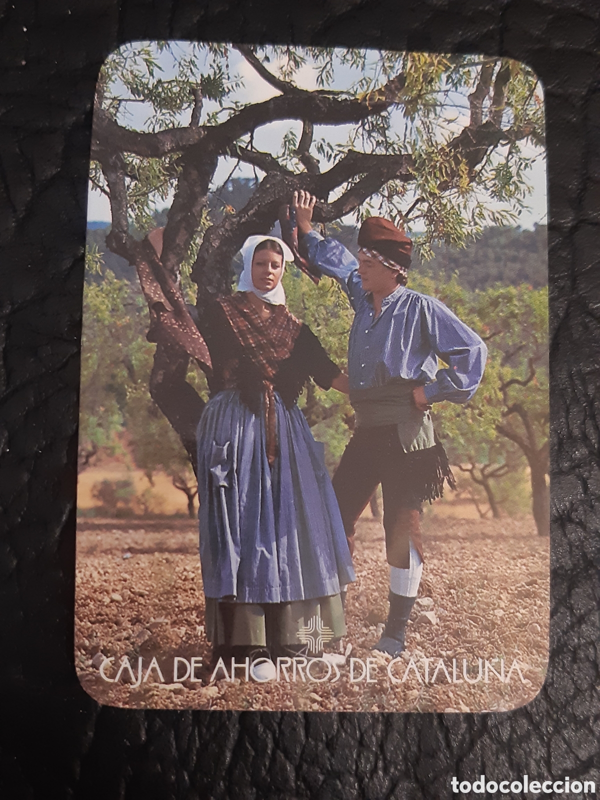 Coleccionismo Calendarios: Calendario Caja Ahorros de Catalu&ntilde;a 1979