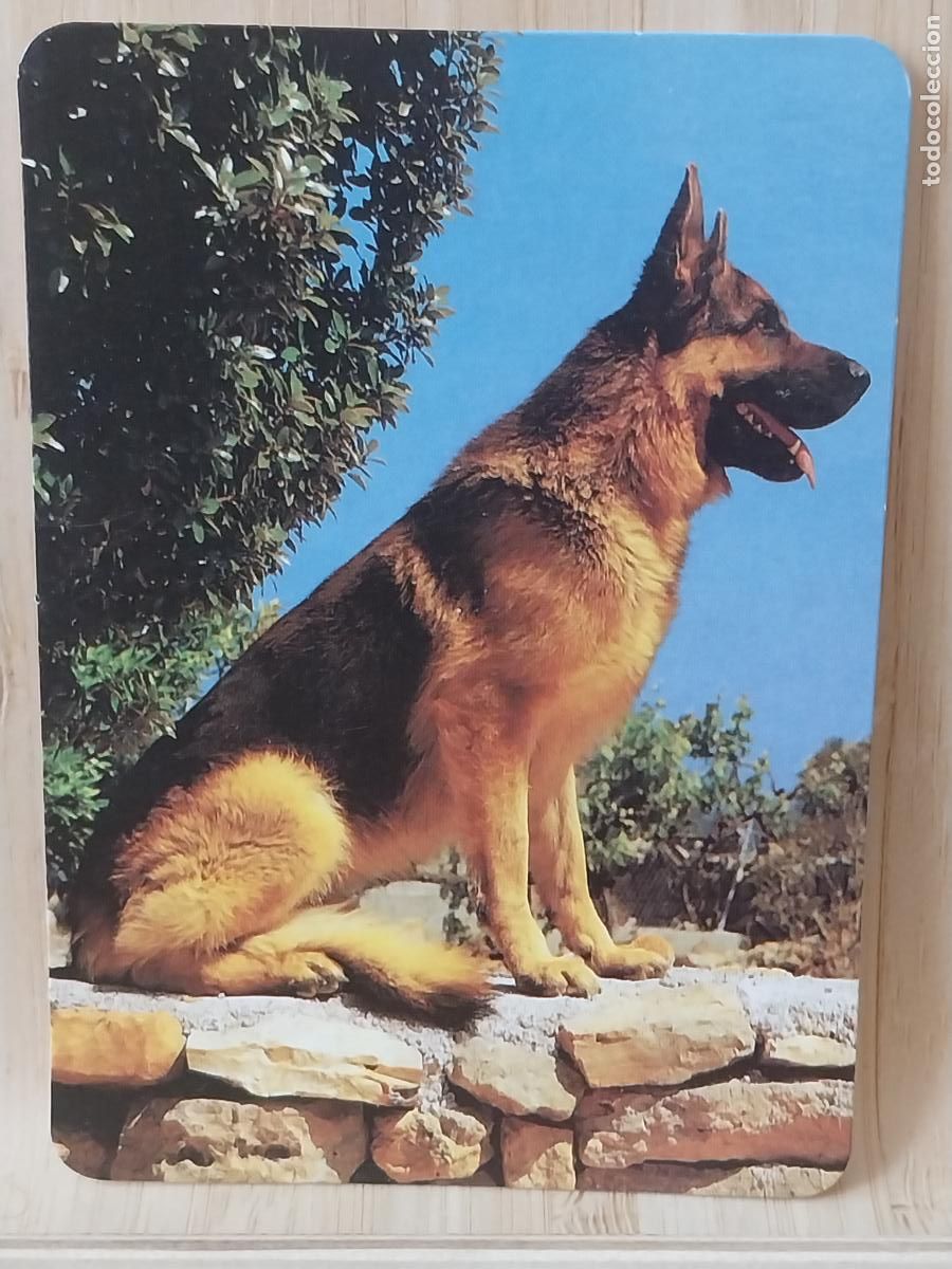 Coleccionismo Calendarios: PASTOR ALEMAN CALENDARIO 2002 PUBLI CAFETERIA VIMAR MESON HNOS SANCHEZ MADRID REF BO. 573