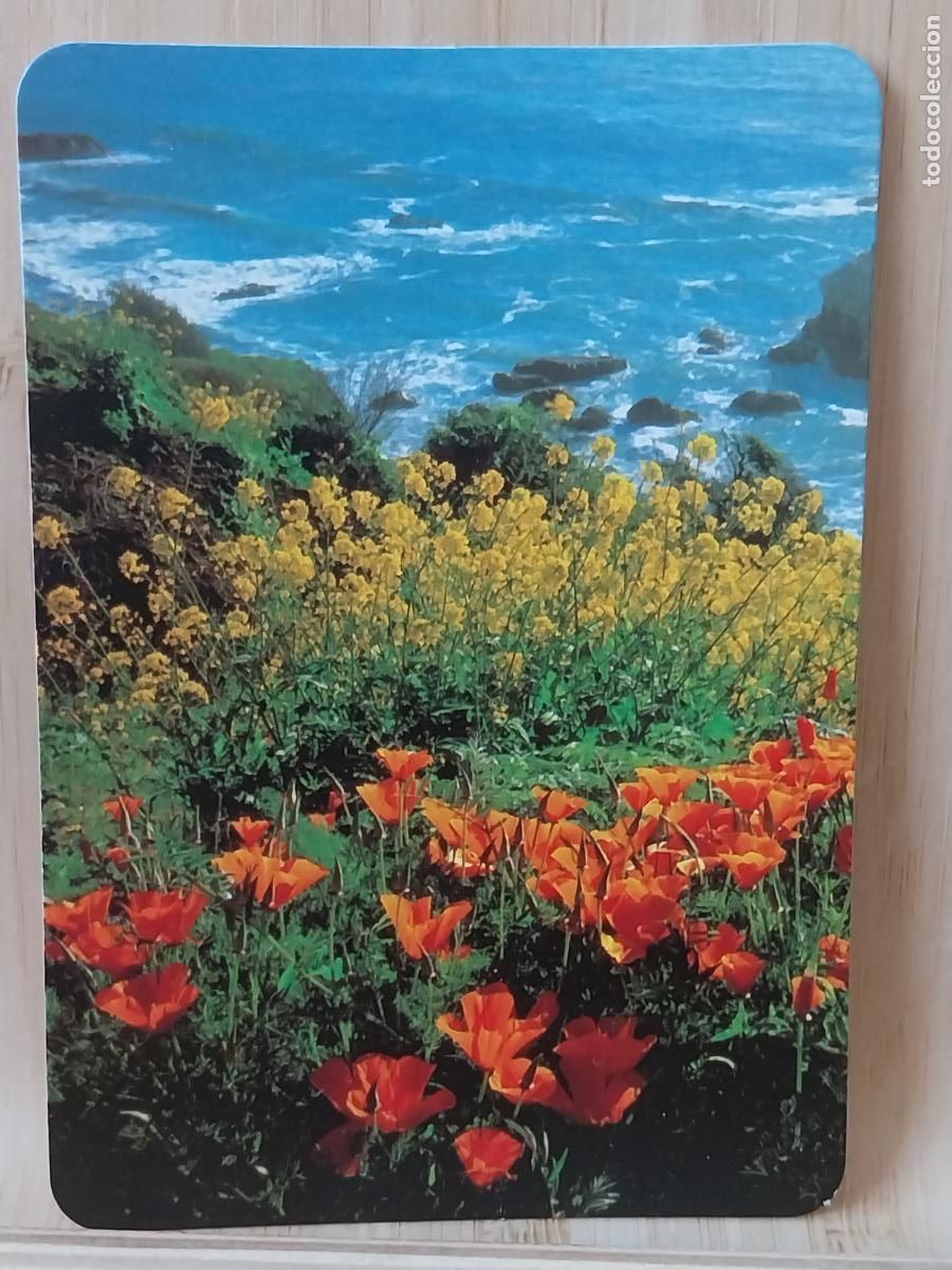 Coleccionismo Calendarios: PAISAJE CALENDARIO 2002 PUBLI DECORACIONES DONOSTIARRA REF EGC.7