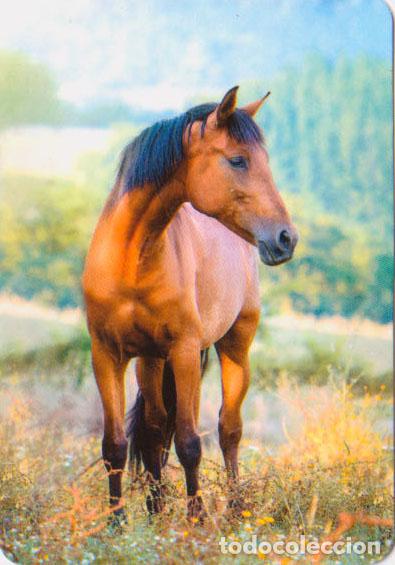 Collectionnisme Calendriers: Calendario de bolsillo 2022 L 119