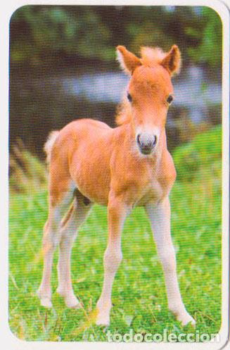 Colecionismo Calend&aacute;rios: Calendario de bolsillo 2022 TC 707