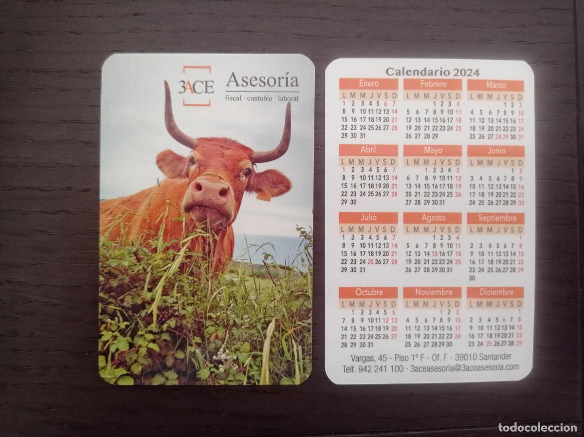 Coleccionismo Calendarios: CALENDARIO PUBLICITARIO. ASESOR&Iacute;A 3ACE. SANTANDER. A&Ntilde;O 2024