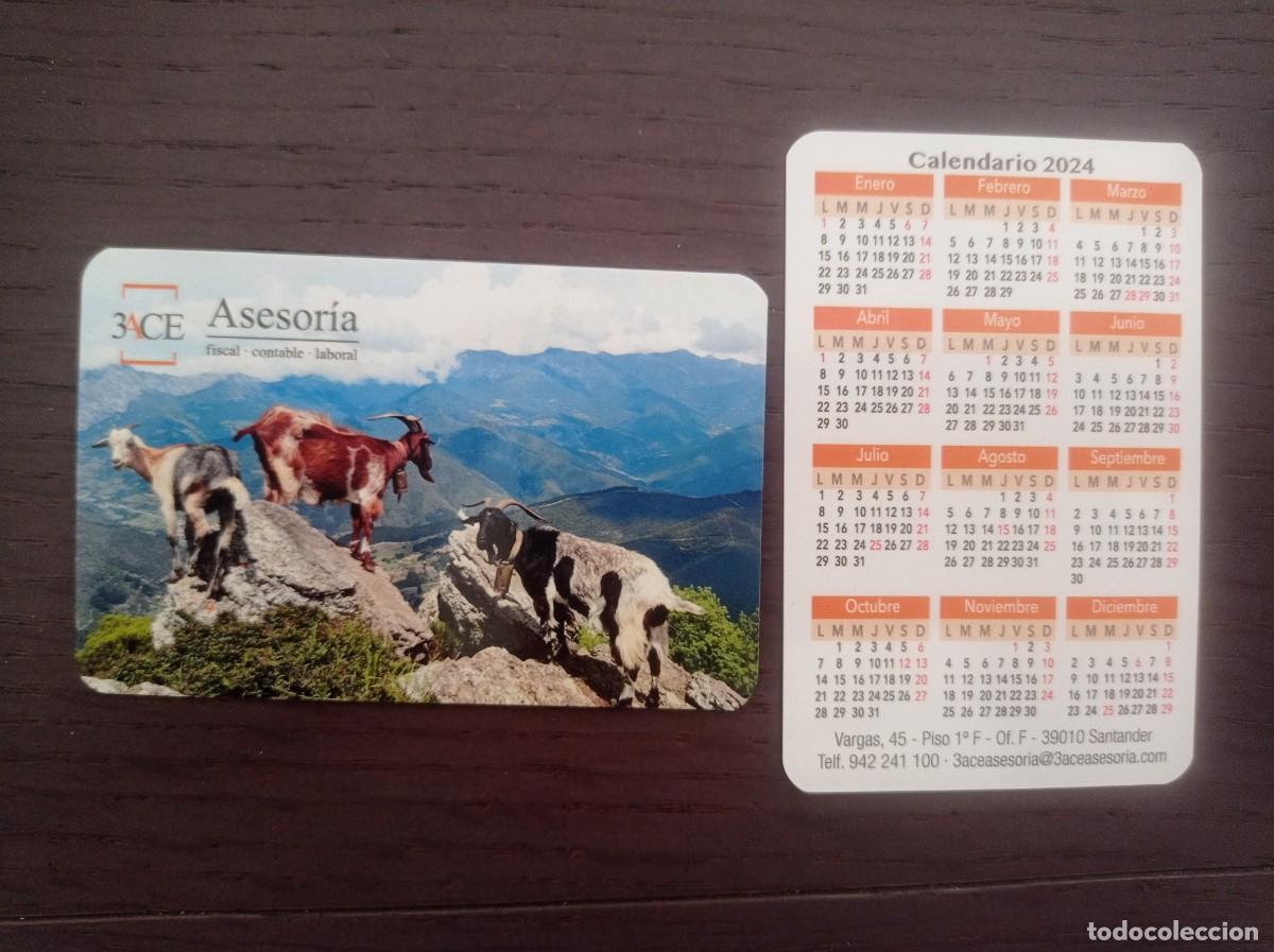 Coleccionismo Calendarios: CALENDARIO PUBLICITARIO. ASESOR&Iacute;A 3ACE. SANTANDER. A&Ntilde;O 2024