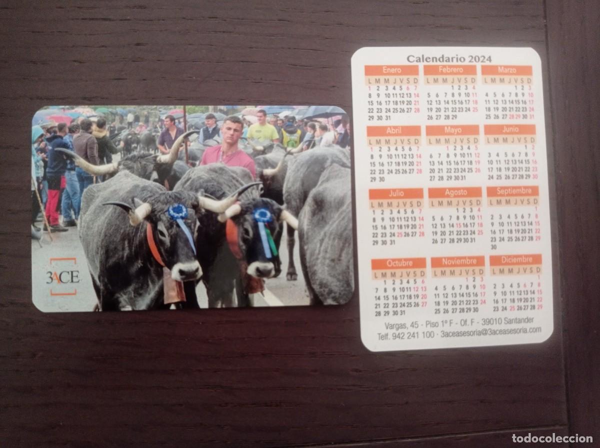 Coleccionismo Calendarios: CALENDARIO PUBLICITARIO. ASESOR&Iacute;A 3ACE. SANTANDER. A&Ntilde;O 2024