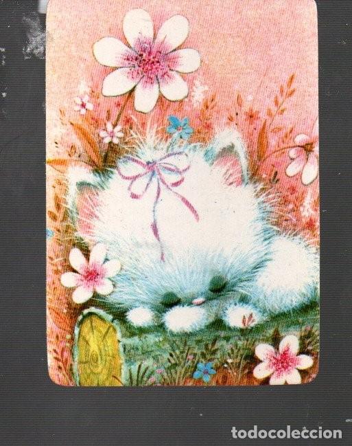 Coleccionismo Calendarios: CALENDARIO DE CLB. N&ordm; 1531 DEL A&Ntilde;O 1988 SIN PUBLICIDAD BONITO GATO