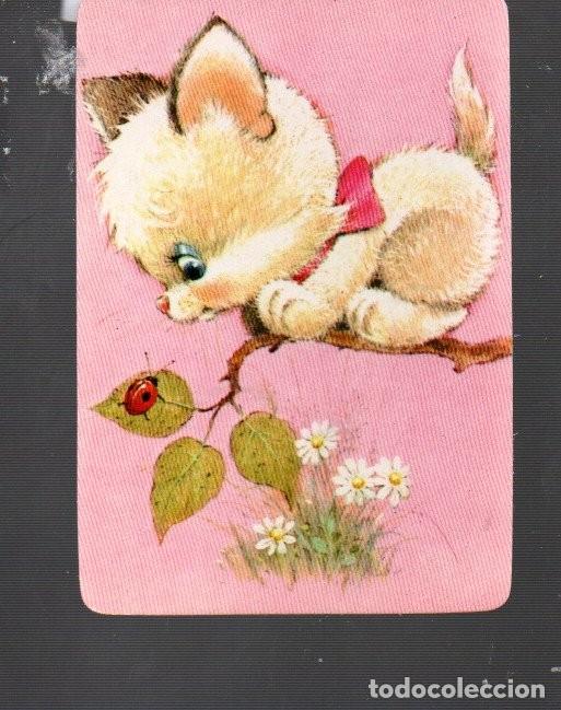 Coleccionismo Calendarios: CALENDARIO DE CLB. N&ordm; 1532 DEL A&Ntilde;O 1988 SIN PUBLICIDAD BONITO GATO