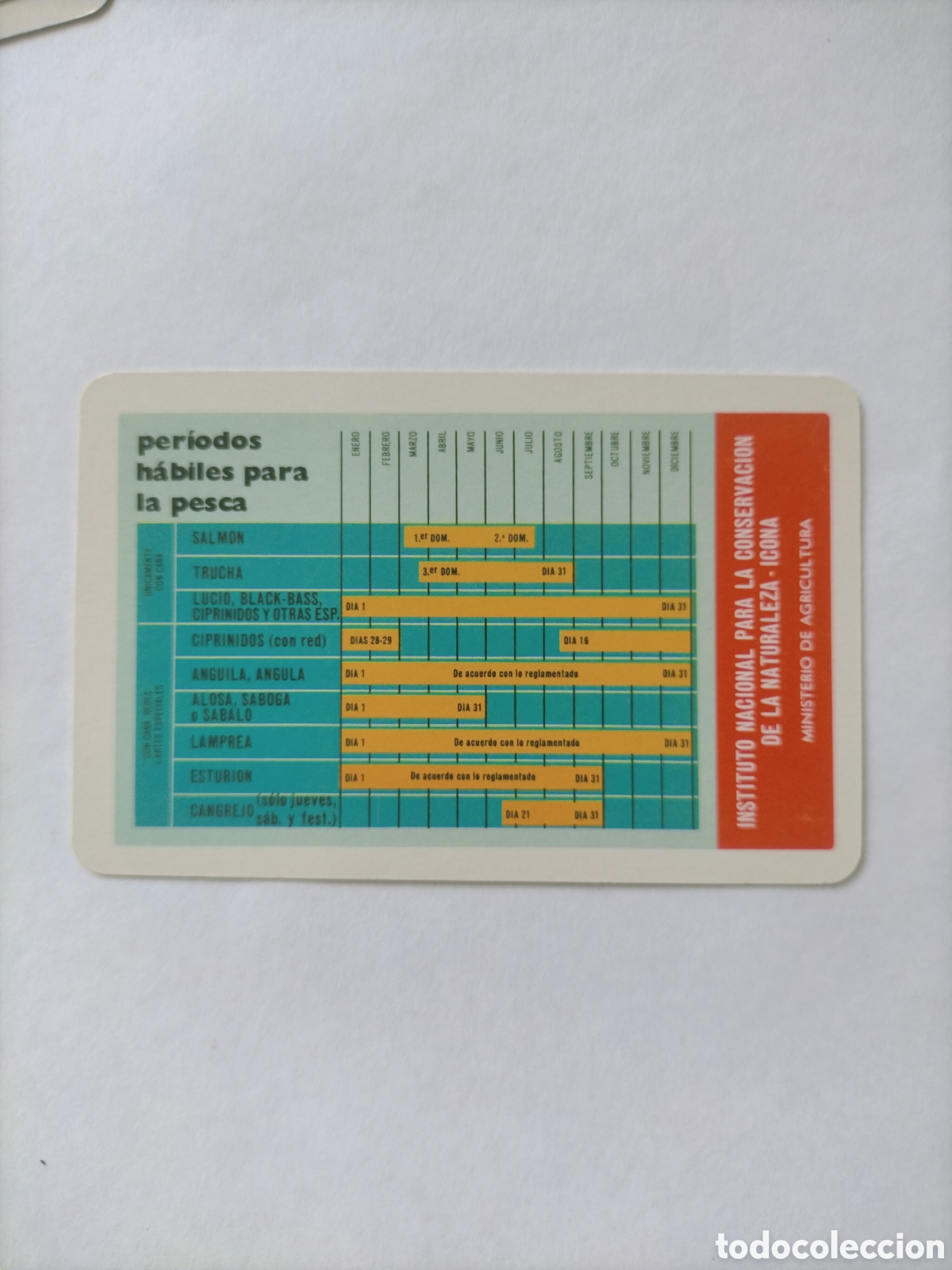 Coleccionismo Calendarios: Calendario fournier 1980 Icona