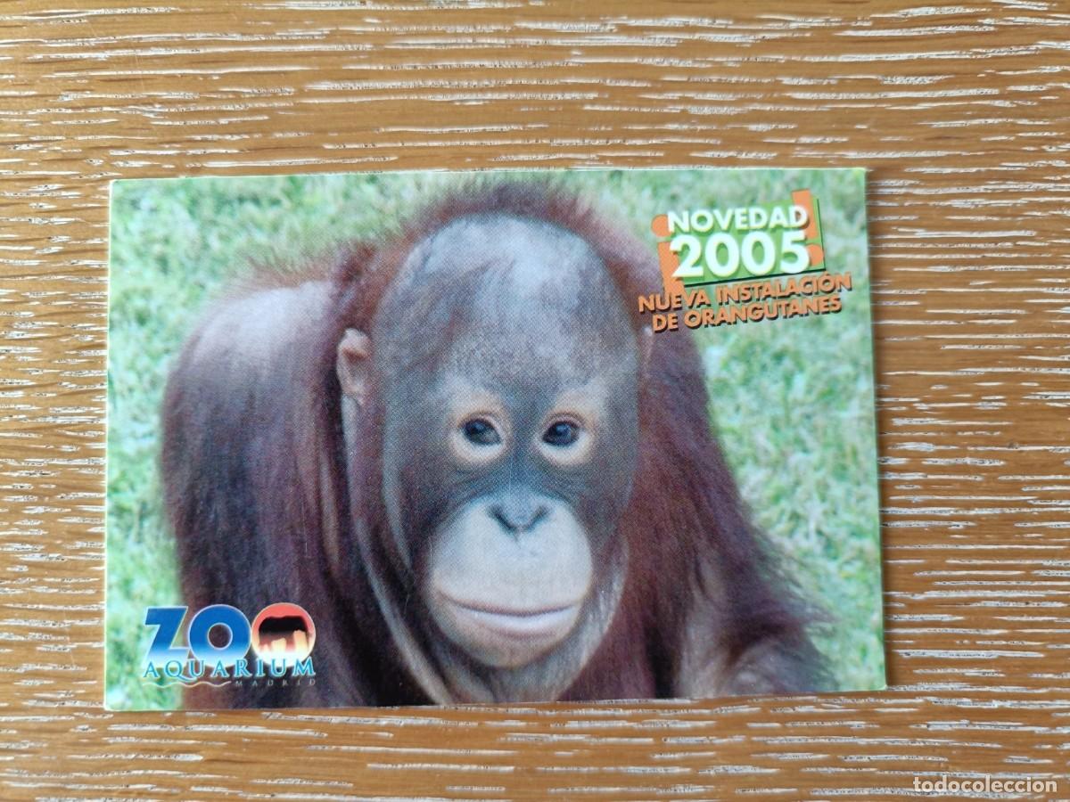 Coleccionismo Calendarios: CALENDARIO BOLSILLO - A&Ntilde;O 2005 - ZOO DE MADRID