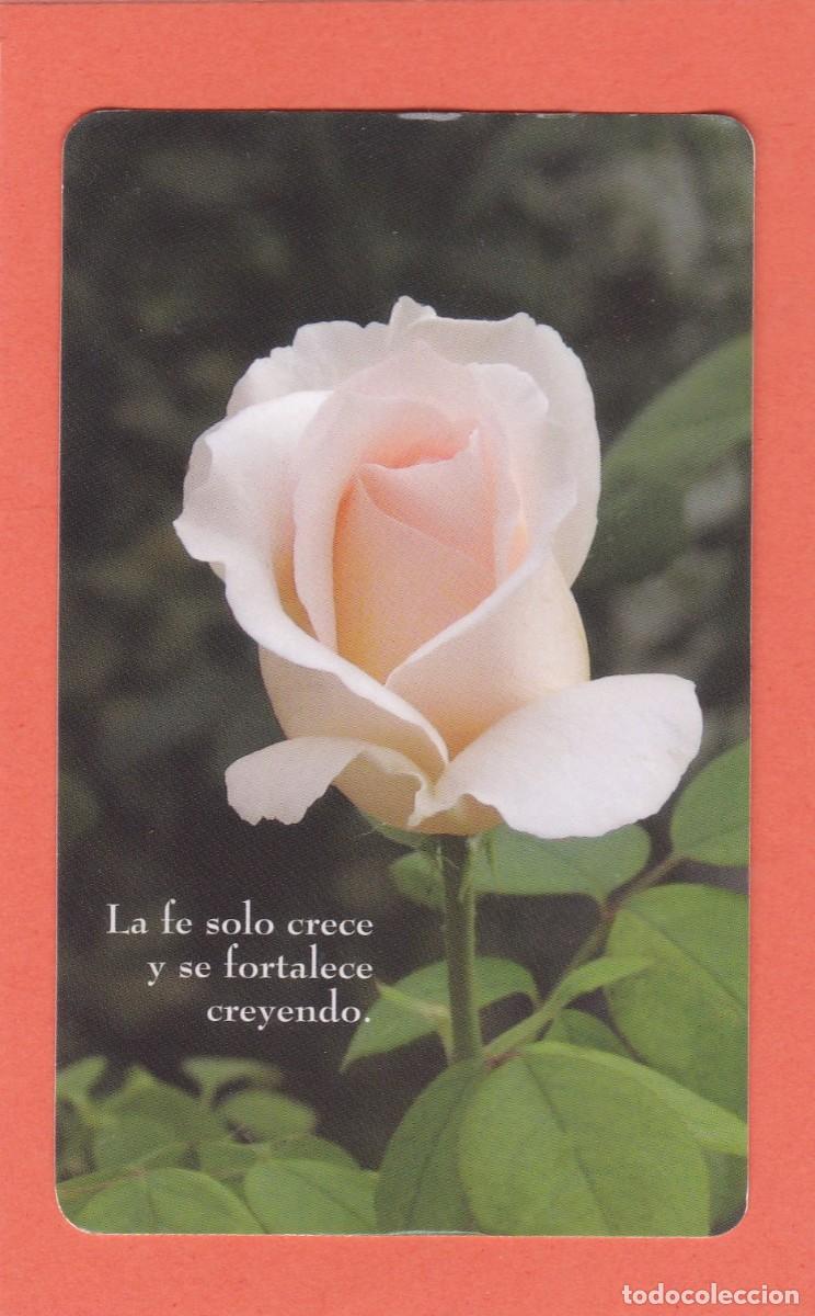 Coleccionismo Calendarios: CALENDARIO 2013 - PAULINAS