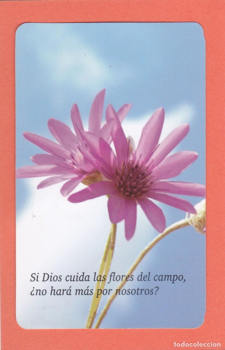 Coleccionismo Calendarios: CALENDARIO 2012 - PAULINAS