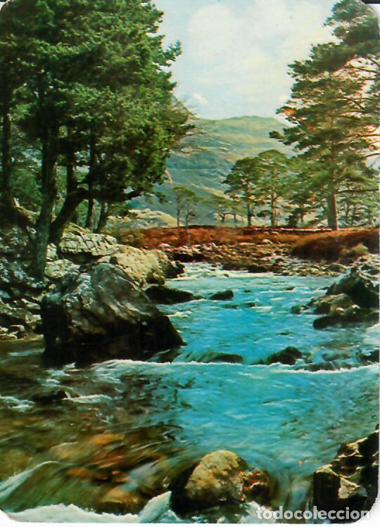 Coleccionismo Calendarios: CALENDARIO DE SERIE - A&Ntilde;O 1970 - 2.005