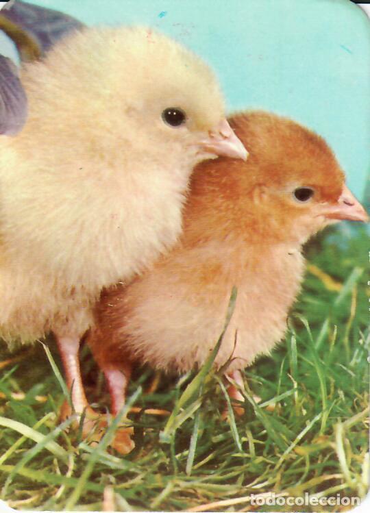 Coleccionismo Calendarios: CALENDARIO DE SERIE - A&Ntilde;O 1970 - 2.013 DLB. 2.614