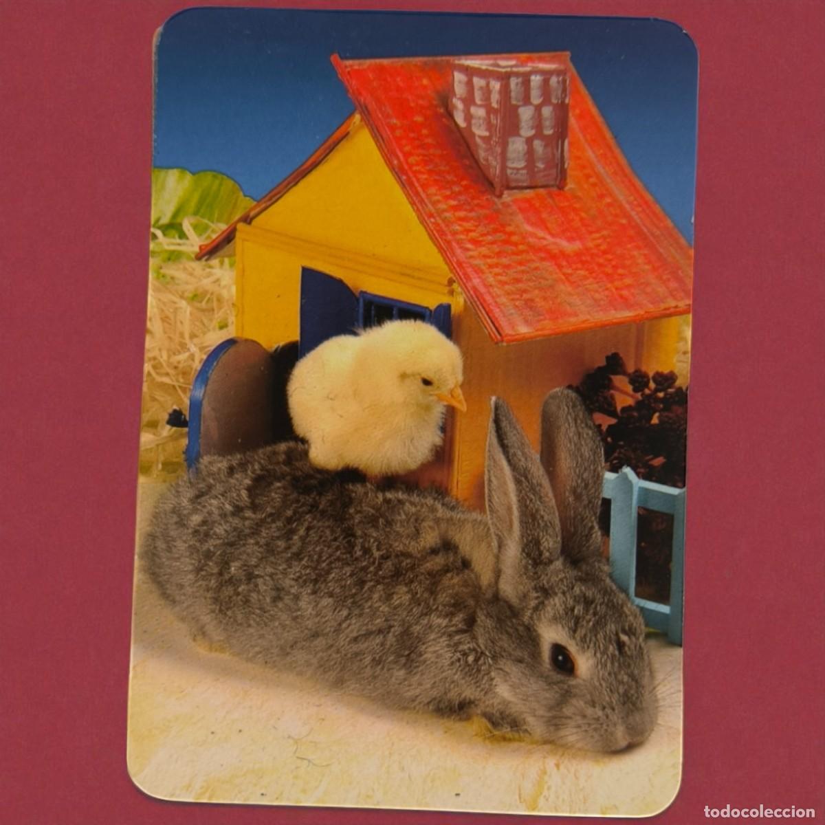 Coleccionismo Calendarios: Simp&aacute;tico Calendario de Bolsillo &ndash; A&ntilde;o 2006