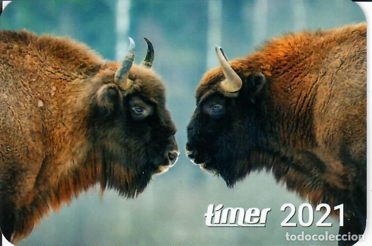 Coleccionismo Calendarios: CALENDARIO DE BOLSILLO DE UCRANIA - A&Ntilde;O 2021 - B&Uacute;FALOS