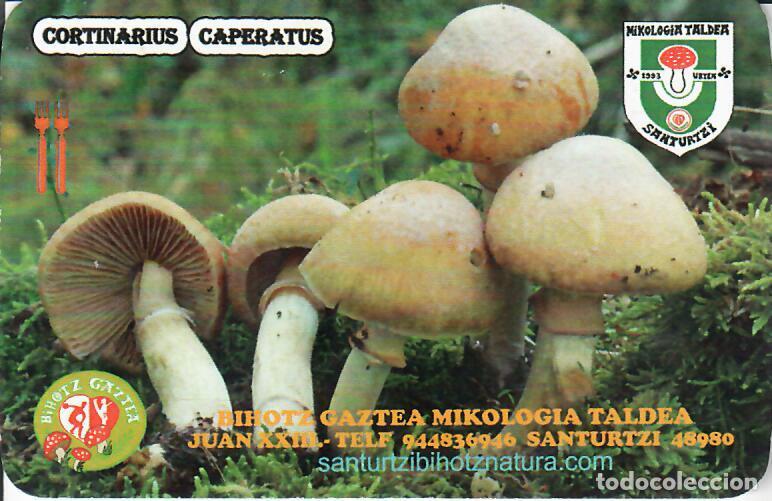 Coleccionismo Calendarios: CALENDARIO PUBLICITARIO - 2023 - SETAS - BIHOTZ GAZTEA KIKOLOGIA TALDEA - SANTURTZI