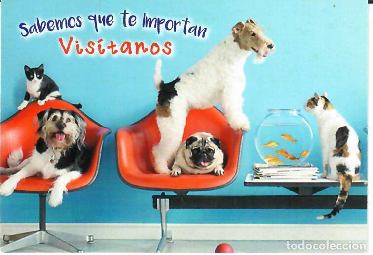 Coleccionismo Calendarios: CALENDARIO DE PUBLICIDAD - A&Ntilde;O 2024 - CL&Iacute;NICA VETERINARIA SARRIGUREN