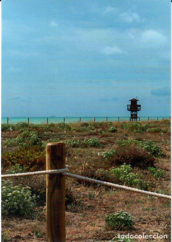 Coleccionismo Calendarios: CALENDARIO DE PUBLICIDAD - A&Ntilde;O 2022 - AYUNTAMIENTO DE SAGUNTO