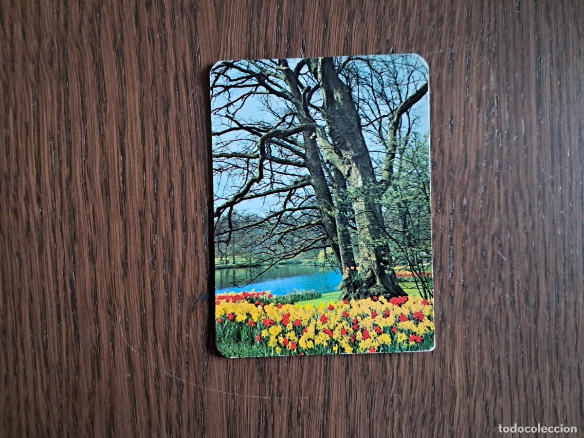 Coleccionismo Calendarios: calendario de serie DLB 42.959, paisaje flores y agua, a&ntilde;o 1972.