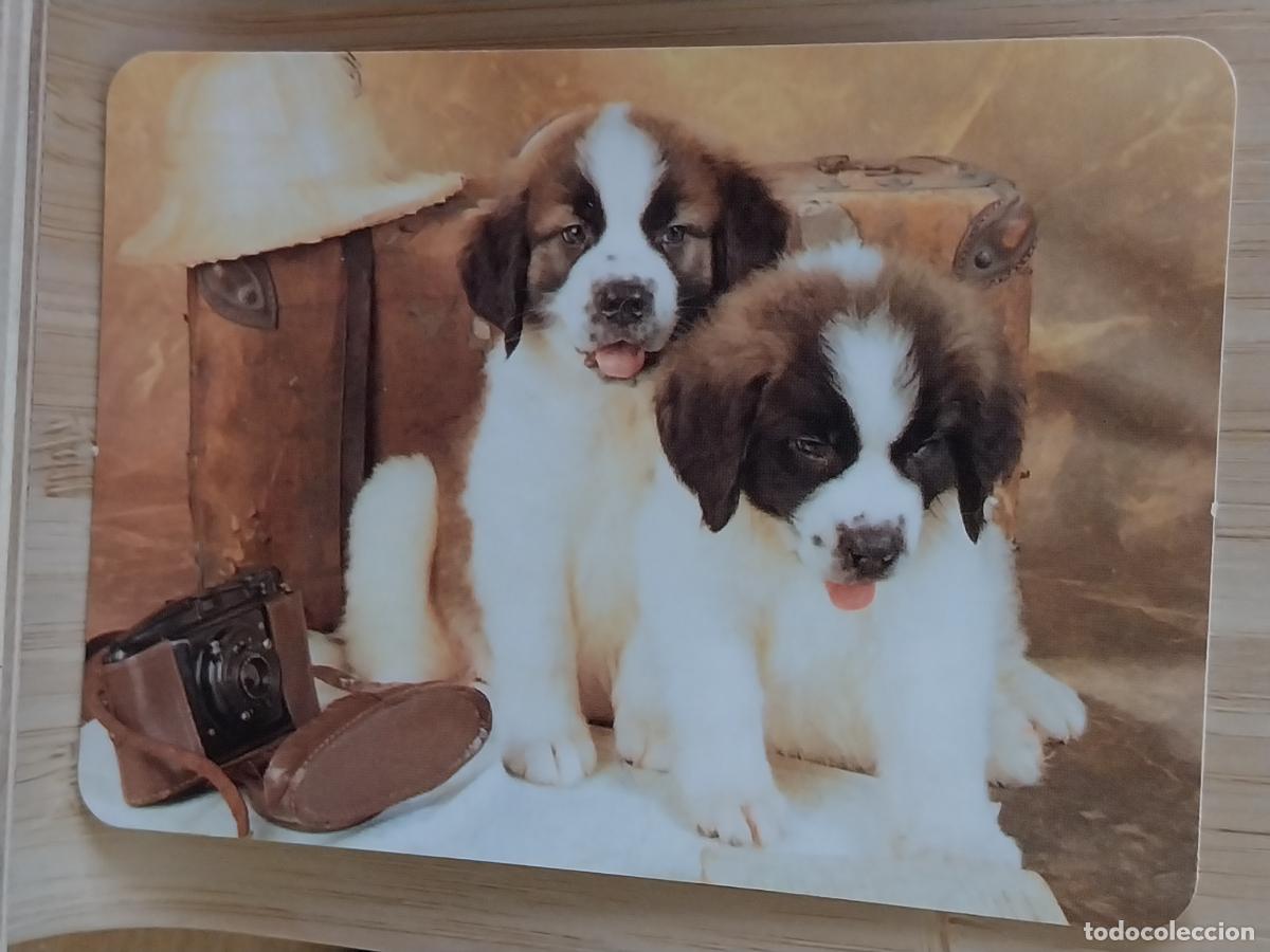 Coleccionismo Calendarios: PERRITOS CACHORROS CALENDARIO 2006 PUBLI SALA PARLA REF BO.573