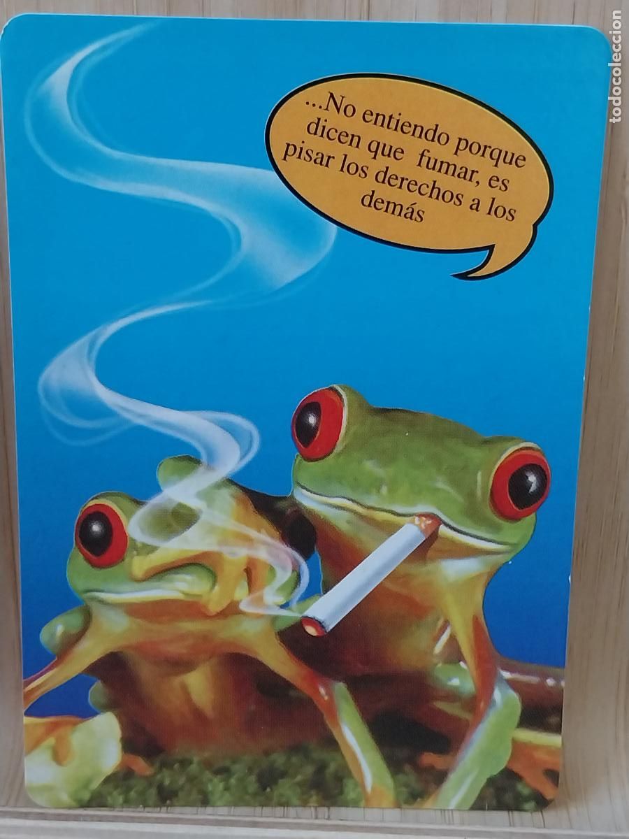 Coleccionismo Calendarios: RANAS VERDES CALENDARIO 2006 PUBLI BAR MECHERO REF W.C.B. 164