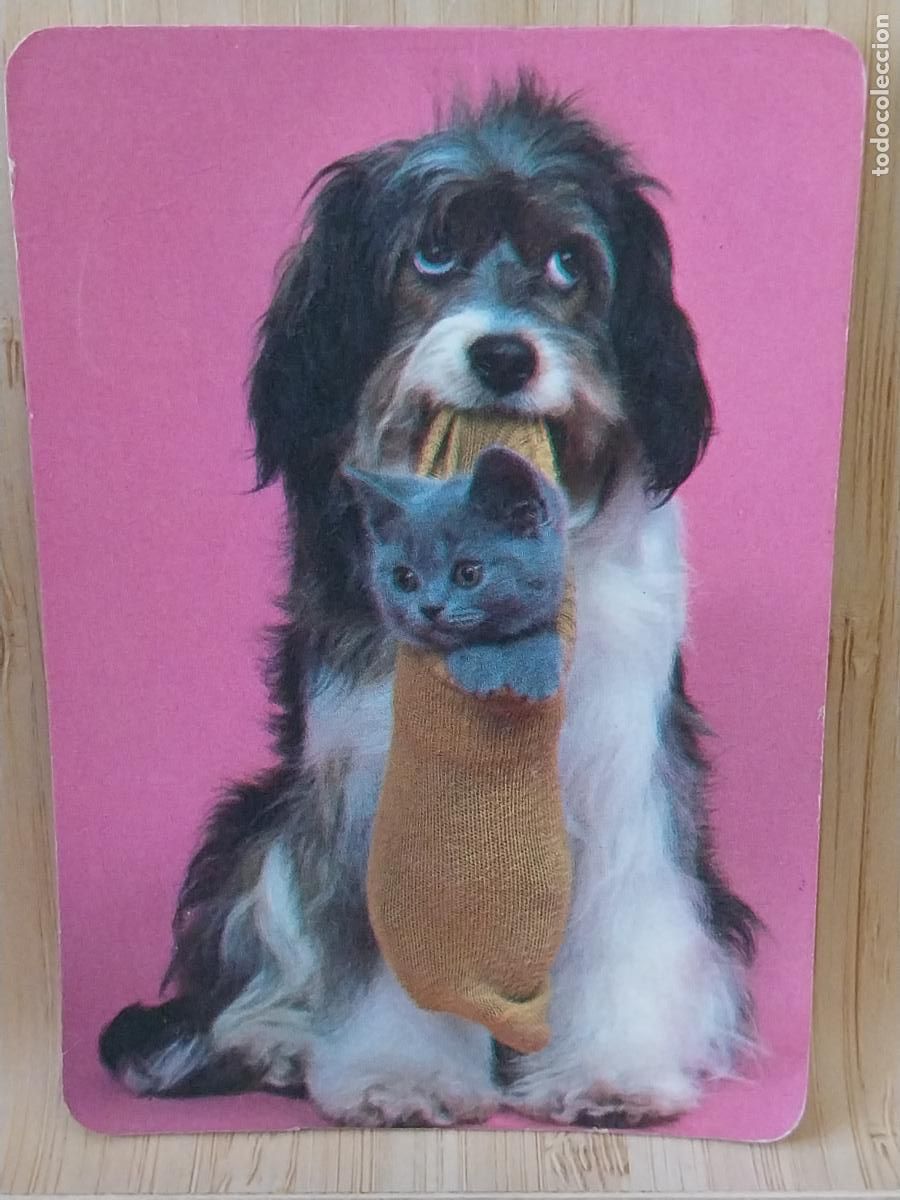 Coleccionismo Calendarios: PERRO CALCETIN CALENDARIO 1987 PUBLI COTRANS MADRID REF MP 8