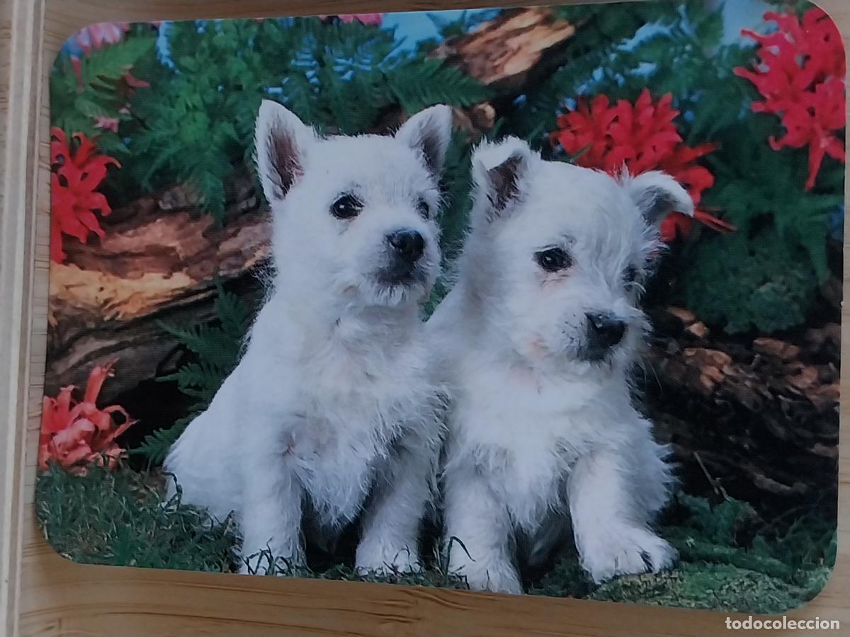 Coleccionismo Calendarios: PERROS CALENDARIO 1987 PUBLI JOSE JUAN TIRADO NAVALCAN TOLEDO REF C.B.N. 44